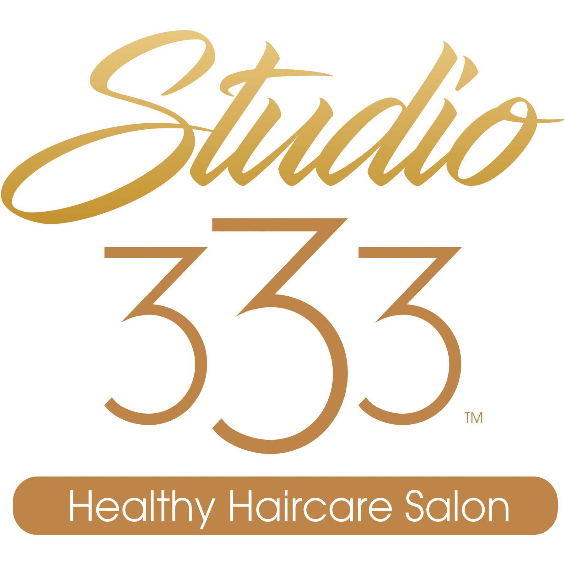 Studio 333 Healthy Haircare Salon In Orange City FL | Vagaro